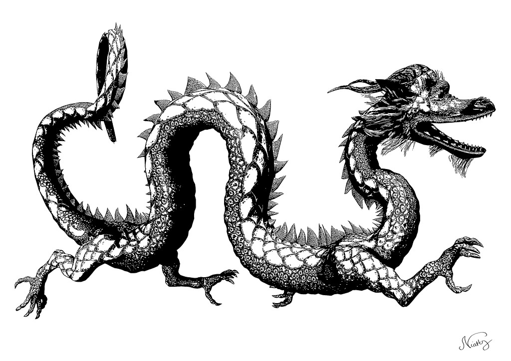 wasserdrache2012